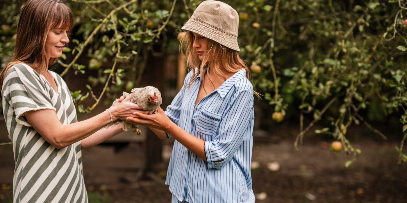 De volledige collecties van Marie Jo, PrimaDonna en andere topmerken